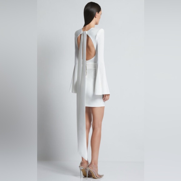 NWT ZHIVAGO THE FAN DRESS Size 6 - Picture 2 of 15